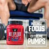 BSN NO-Xplode Legendary Pre-W.Out 390g Purple Power